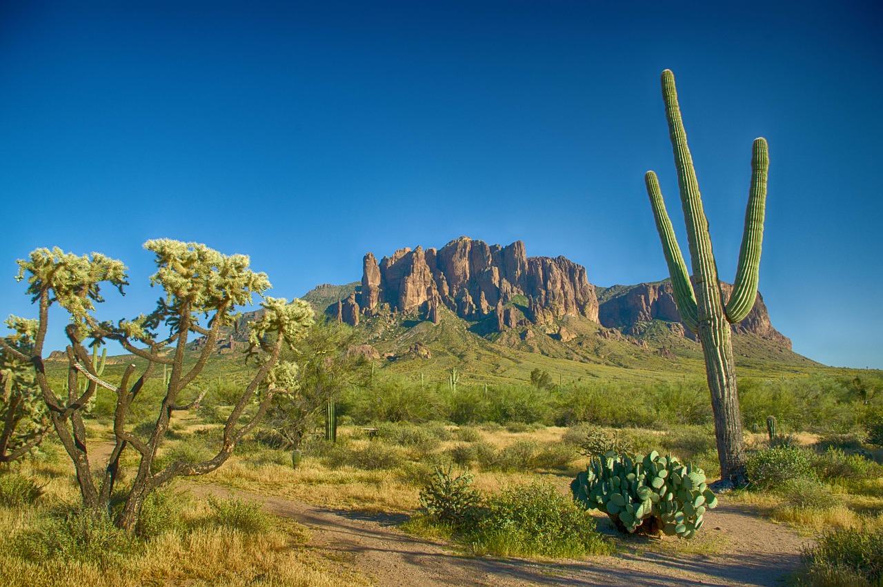 desert-landscape